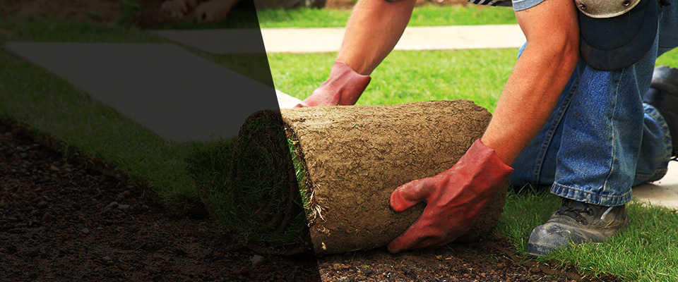 Tualatin Landscapers